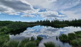 10082025 rogla