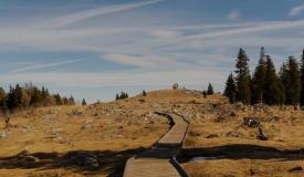12102025 austrija1
