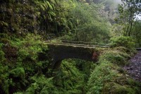 Levada de Caldeirao Verde