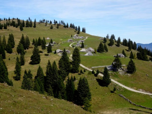 21042025 velika planina