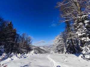 gorski kotar zimski motiv