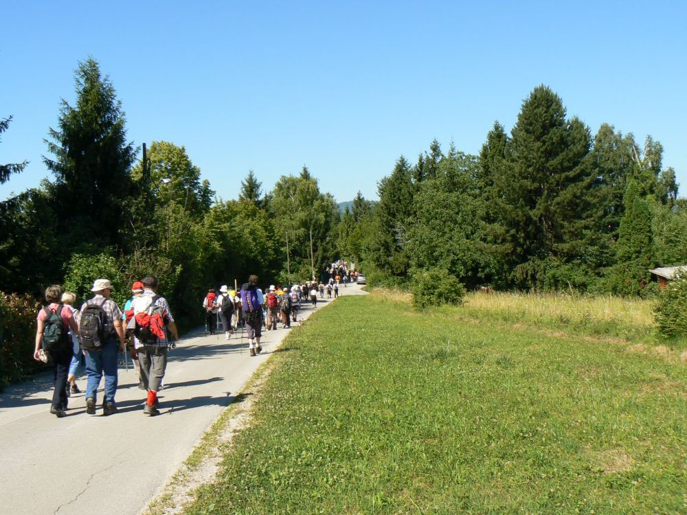 1. planinarski pohod “Pinklec na pleča”