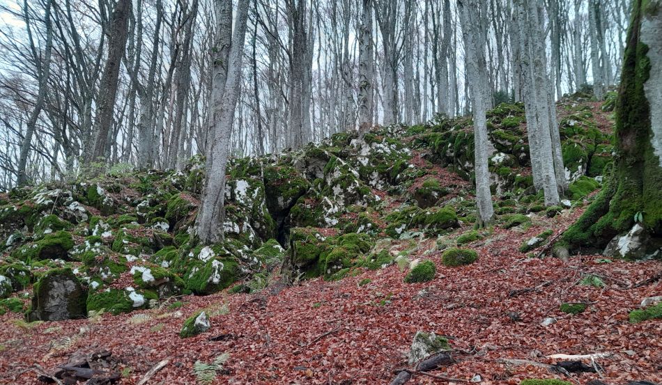 Žumberačka gora – radna akcija